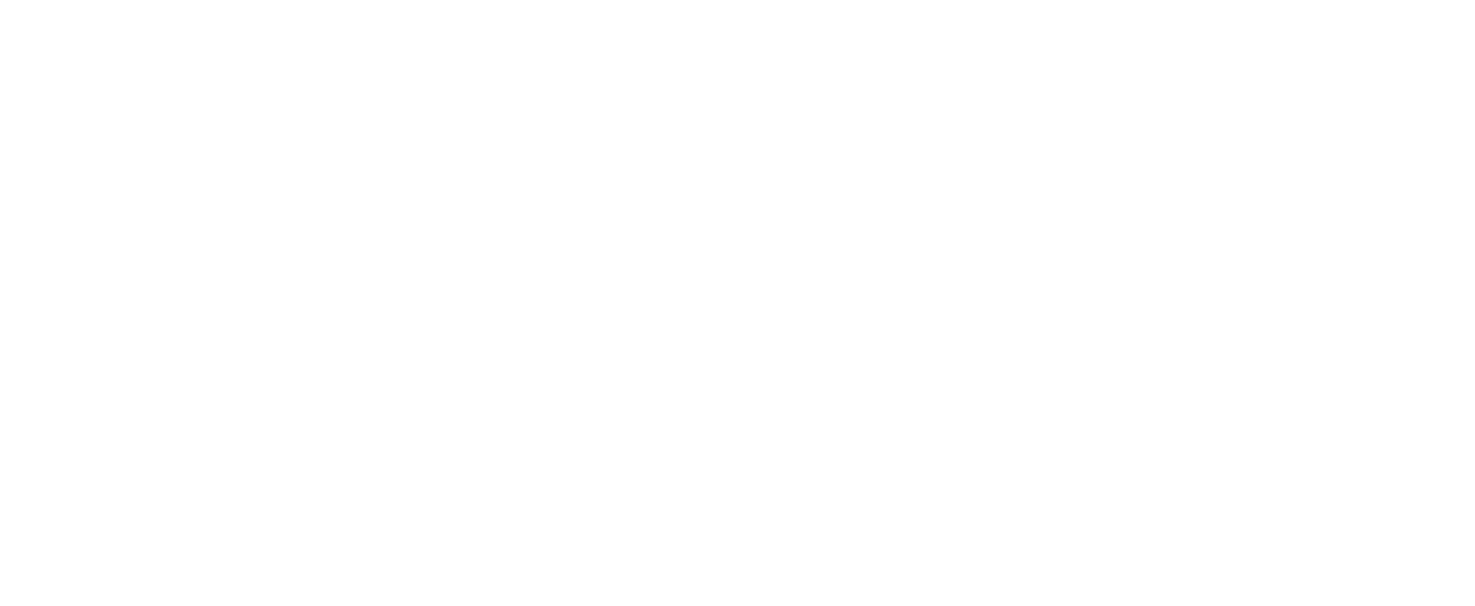 LOGO CELSO LISBOA