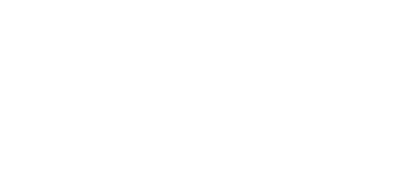 LOGO CNA