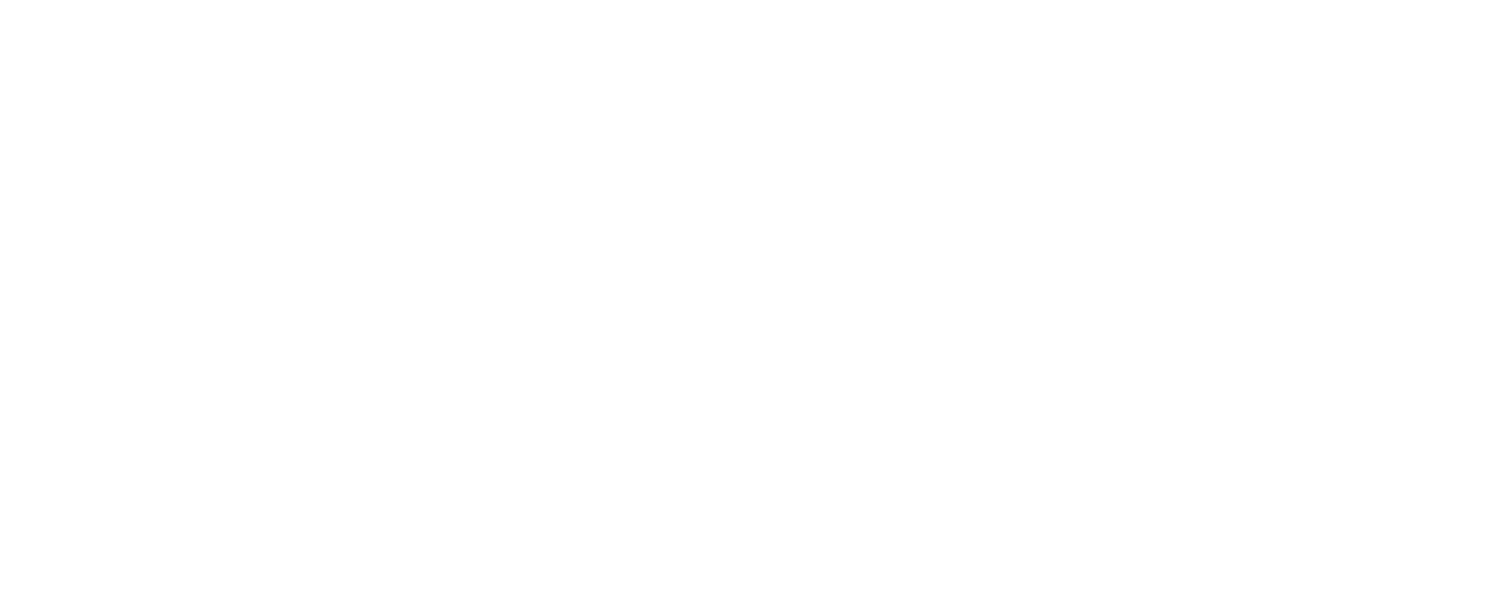 LOGO DAMASIO