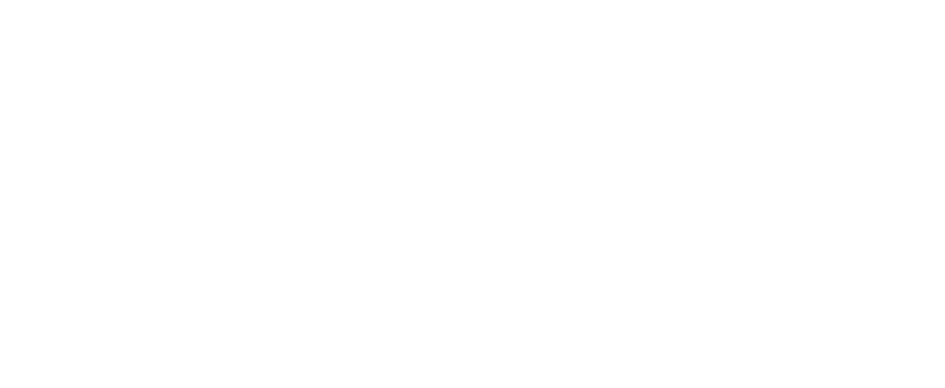 LOGO FESN