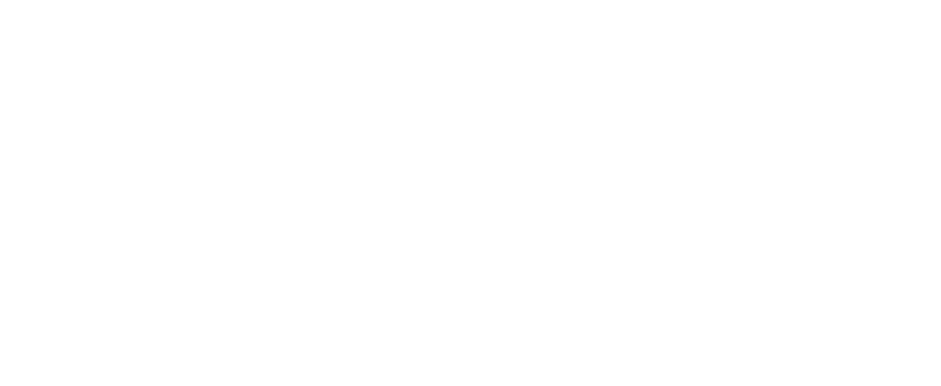 LOGO FISK