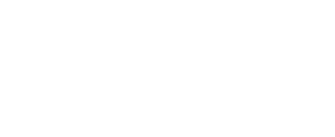 LOGO MICROLINS