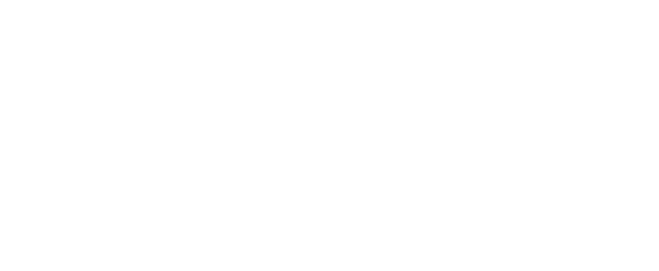 LOGO MISTER WIZ